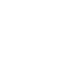 qualitas